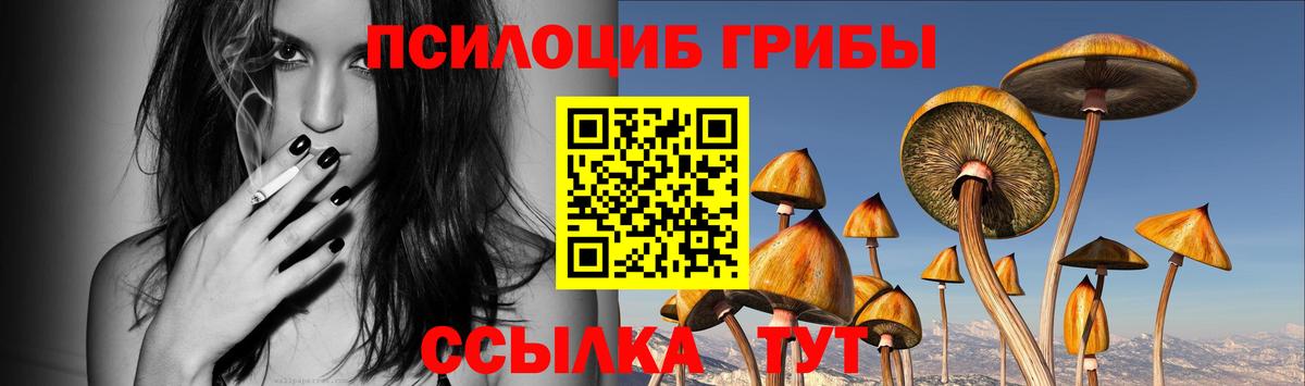 Псилоцибиновые грибы прущие грибы  Вход с VPN  Можайск  Галлюциногенные грибы прущие грибы 